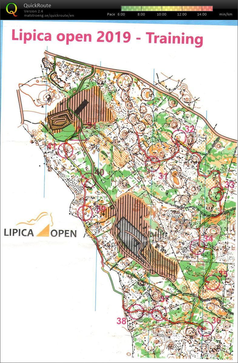 Lipica Open 2019 - Training (08.03.2019)